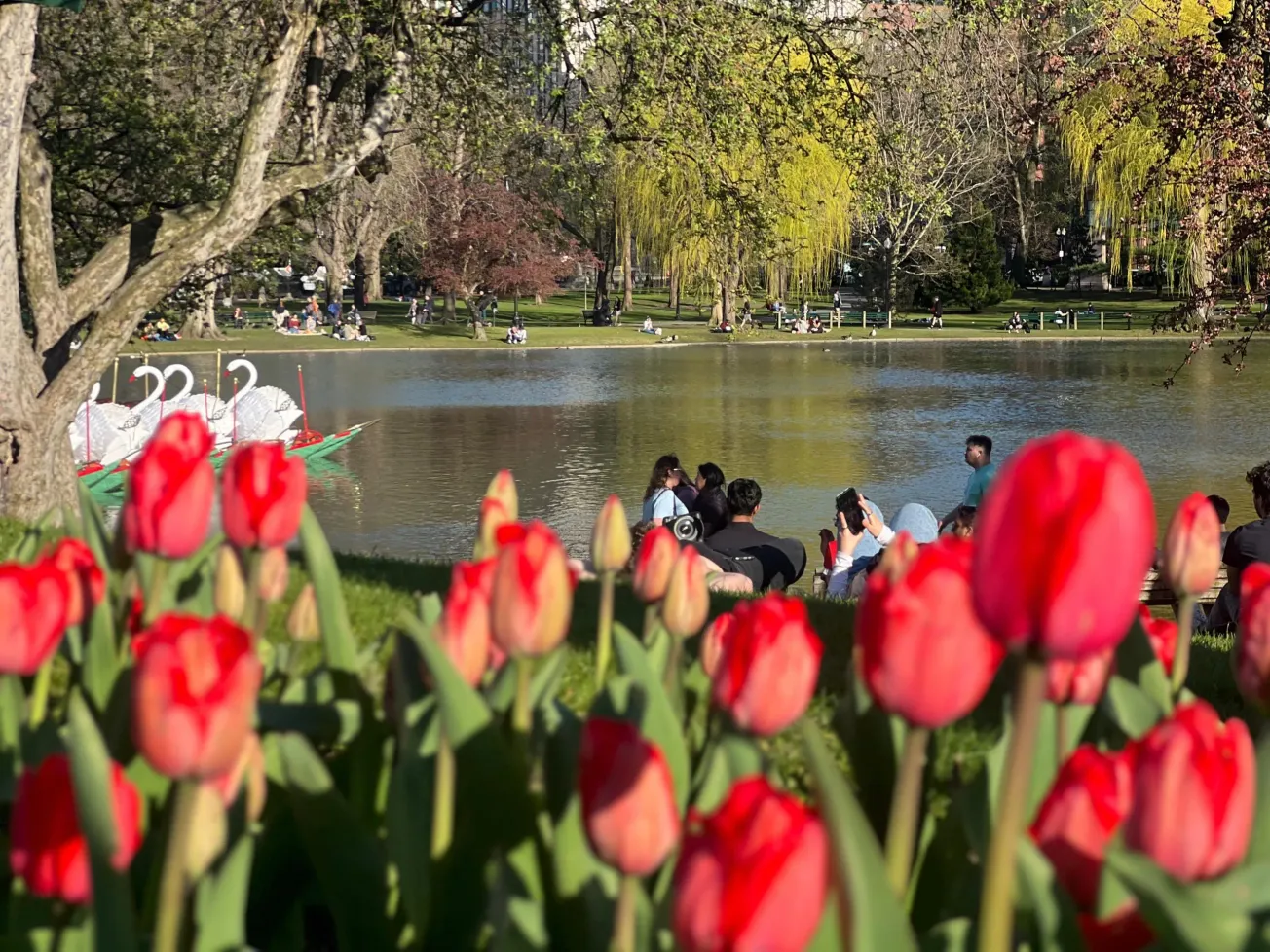 Qué hacer esta primavera en Boston