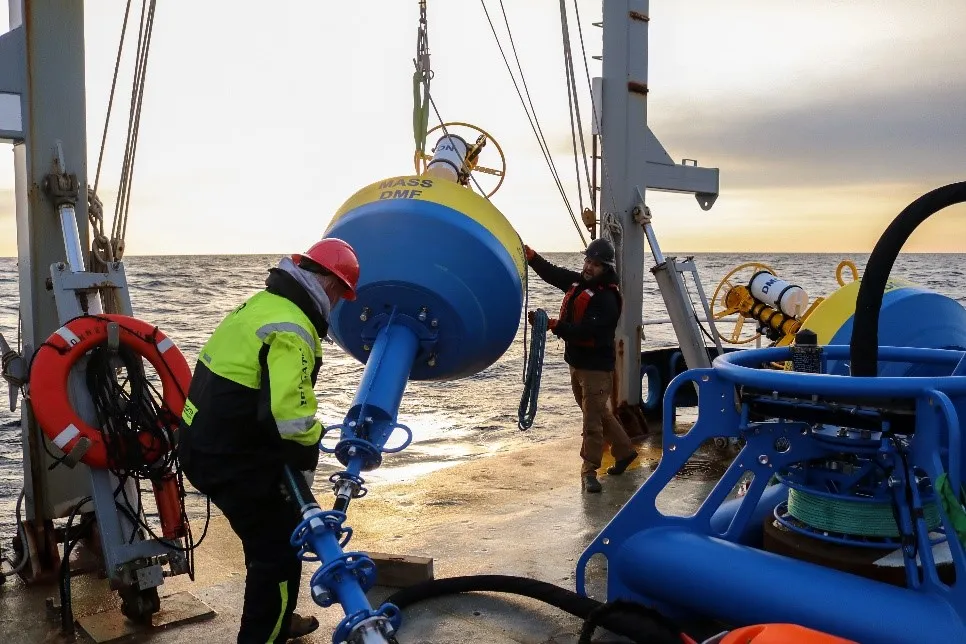 En Massachusetts una nueva estrategia está en marcha para proteger a la ballena franca del Atlántico Norte