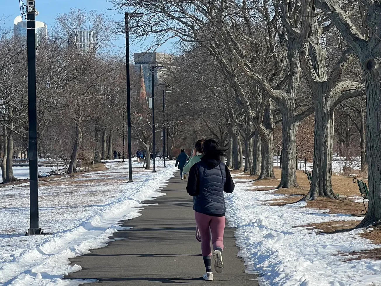Los 15 mejores lugares para correr en Boston
