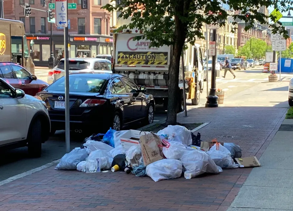 Boston entre las 10 ciudades con más problemas de ratas en Estados Unidos, según Yelp