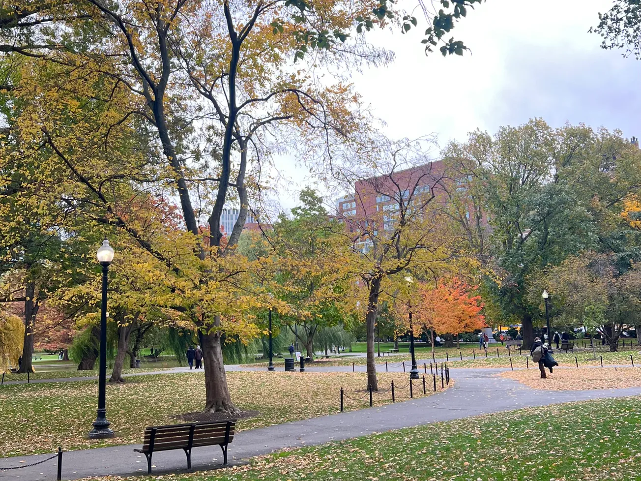 Boston se prepara para vientos potentes que podrían sentirse esta noche