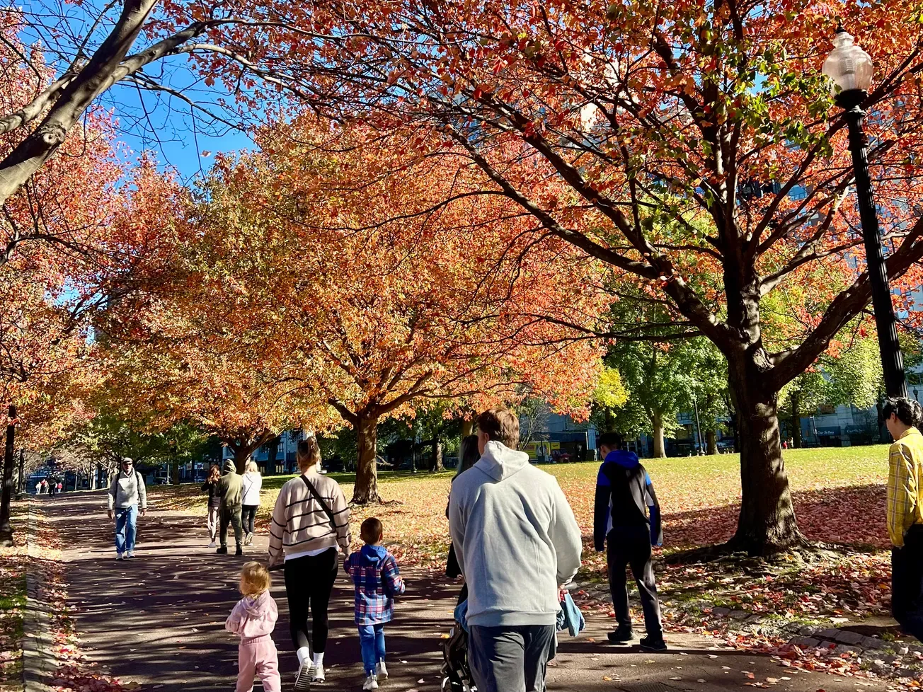 ¿Qué hacer en Boston esta semana del 10 al 16 de noviembre?