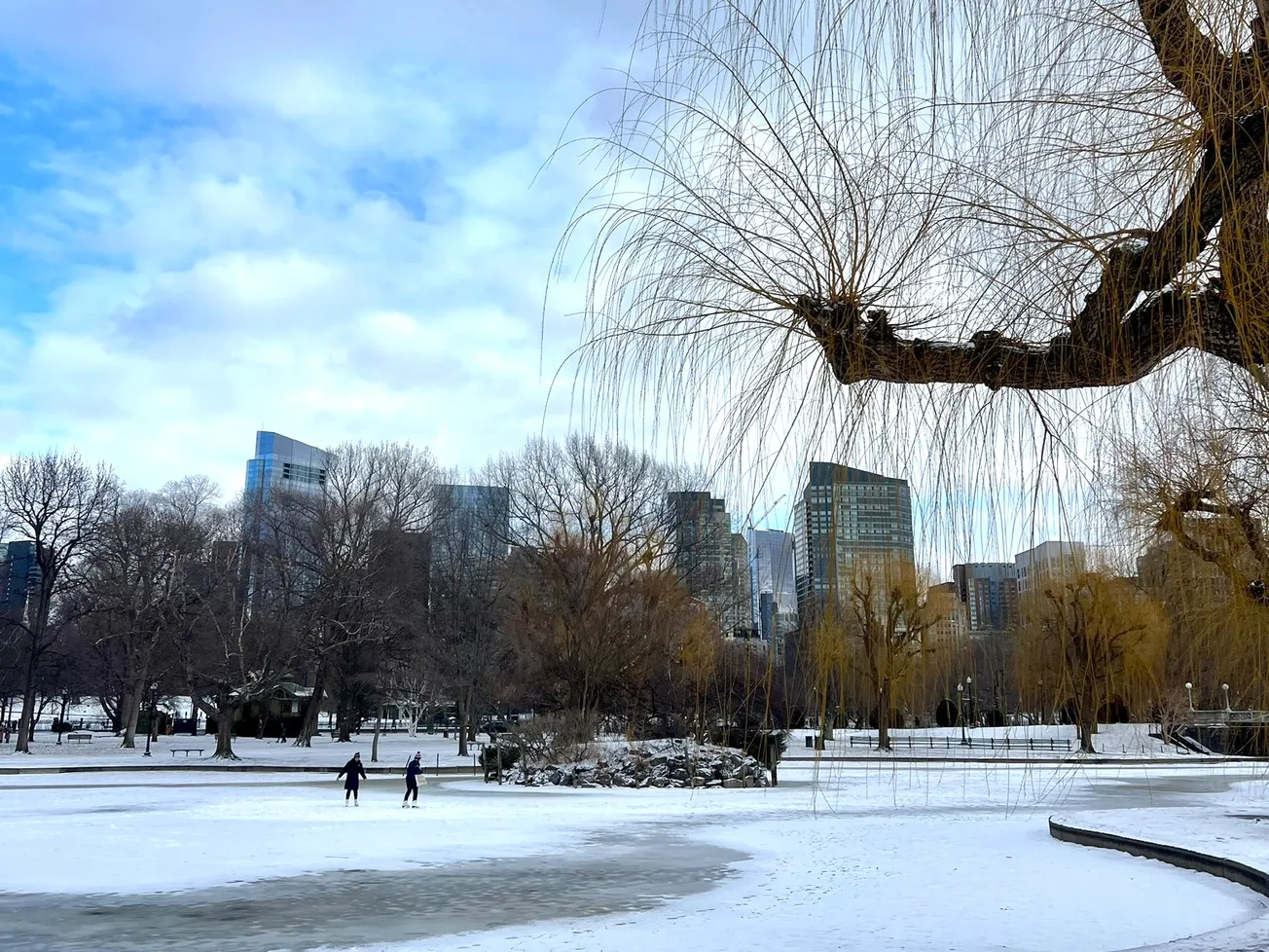 Opciones económicas para patinar sobre hielo en Massachusetts