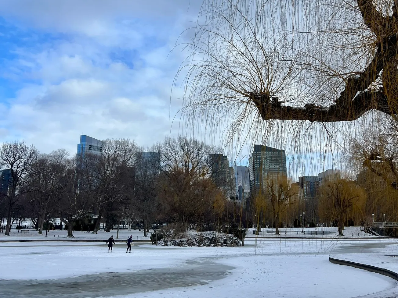 Boston recibió la primera nevada de la temporada este fin de semana