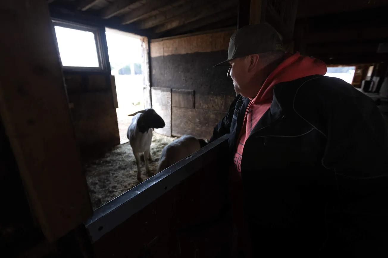Con dos cabras y un poni, un “rancho” de tratamiento de adicciones echa raíces en Mass