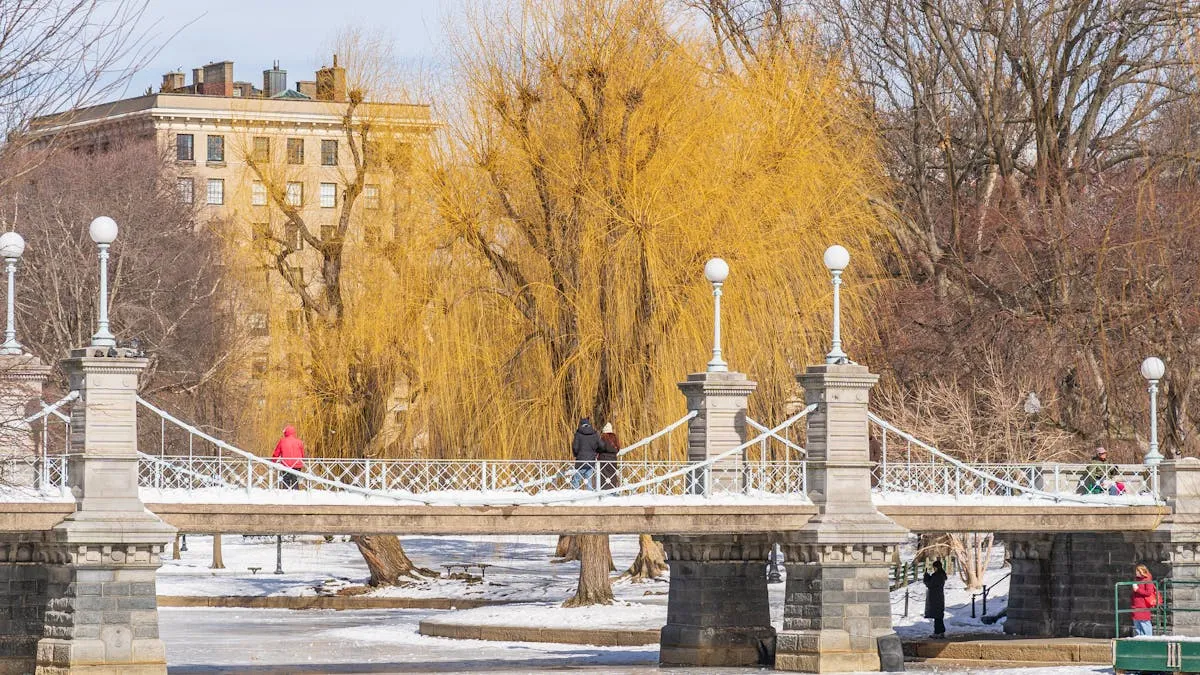 Boston bajo alerta por frío extremo: recomendaciones y limpieza de nieve tras la tormenta