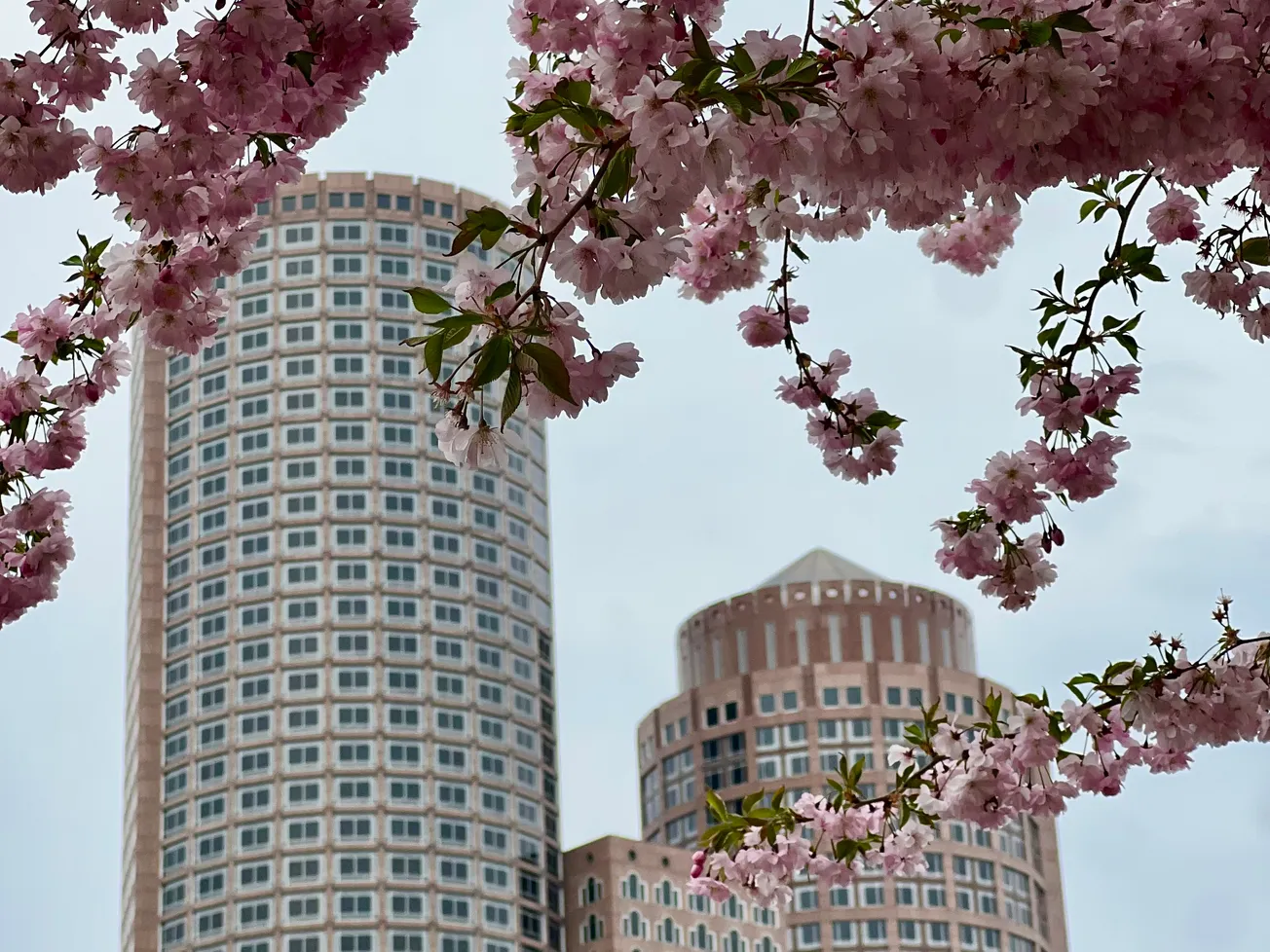 EVENTOS DE LA SEMANA EN BOSTON DESDE EL 7 HASTA EL 12 DE ABRIL