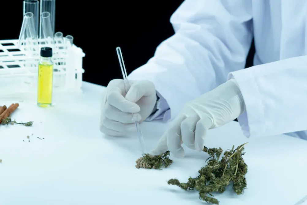 Etiqueta del contenido de cannabidiol en productos de venta libre puede ser engañosa, según estudio