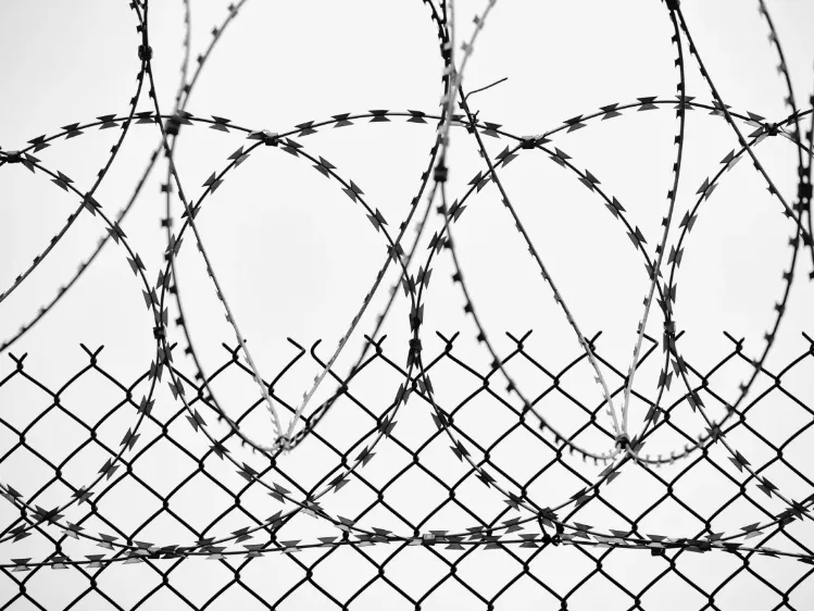 Foto: Archivo Pexels