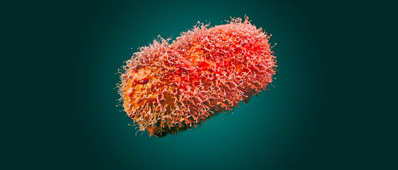 La vacuna se administra ahora en una dosis más baja en la piel. Imagen de micrografía electrónica de barrido coloreada del vi