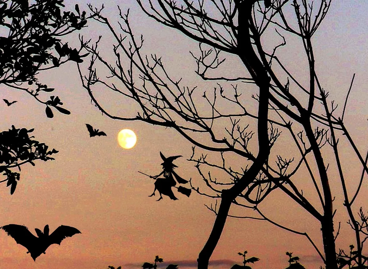 ¿Qué debes saber si planeas disfrutar de estos días espeluznantes en Salem?