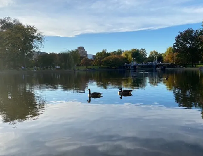 Otoño en Boston