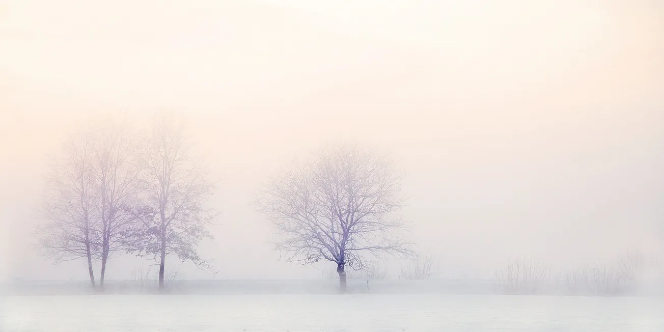 Foto. Pixabay