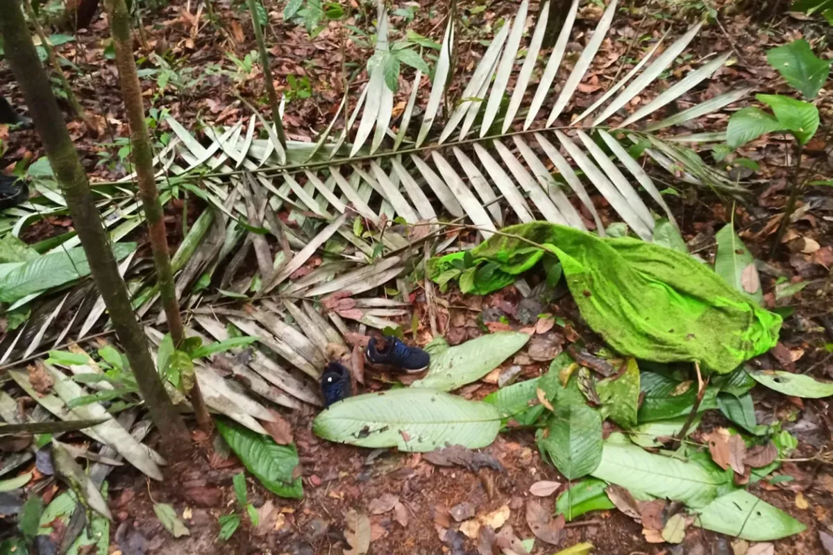 Nuevas esperanzas en Colombia al hallarse huellas en la búsqueda de niños indígenas perdidos (Fotos)