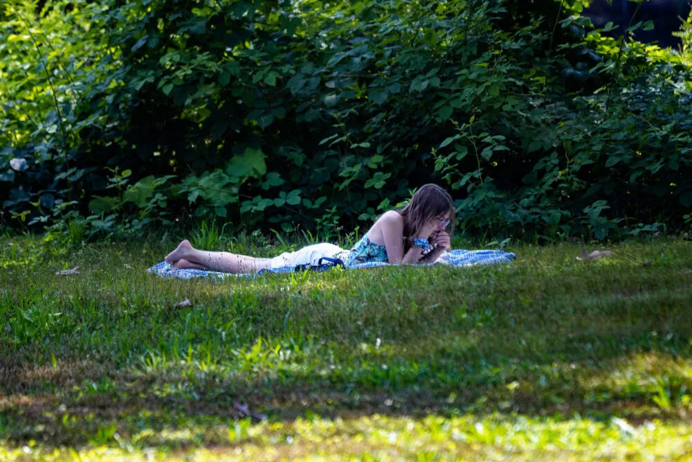 En medio de las altas temperaturas del miércoles, una mujer lee en un lugar sombreado a orillas de Back Bay Fens. (Jesse Cost