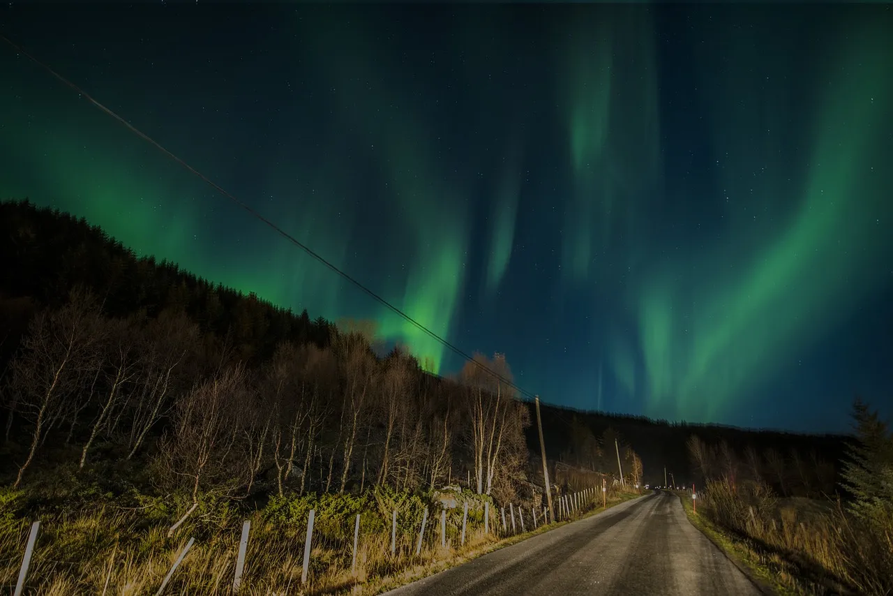 ¿Cuándo se podrán observar nuevamente las auroras boreales?