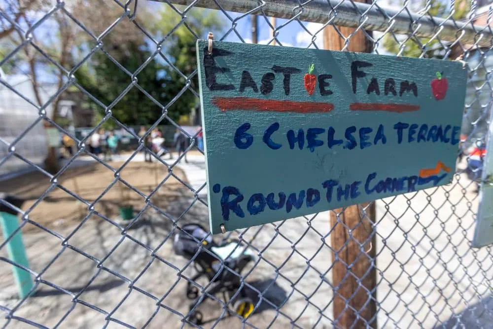 Un letrero en la entrada de Eastie Farms en Chelsea Terrace durante la inauguración del nuevo invernadero. (Jesse Costa/WBUR)