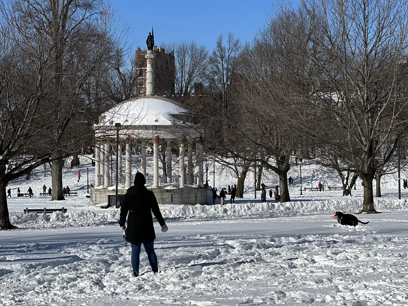 Invierno en el Boston Common. Foto: Rosanna Marinelli.