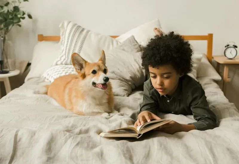 ¿Están pensando adoptar una mascota y hay niños en tu hogar? Esto te interesará
