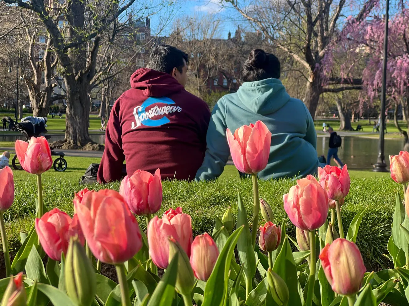 Boston en primavera, tómate un respiro y contempla las maravillas de la naturaleza