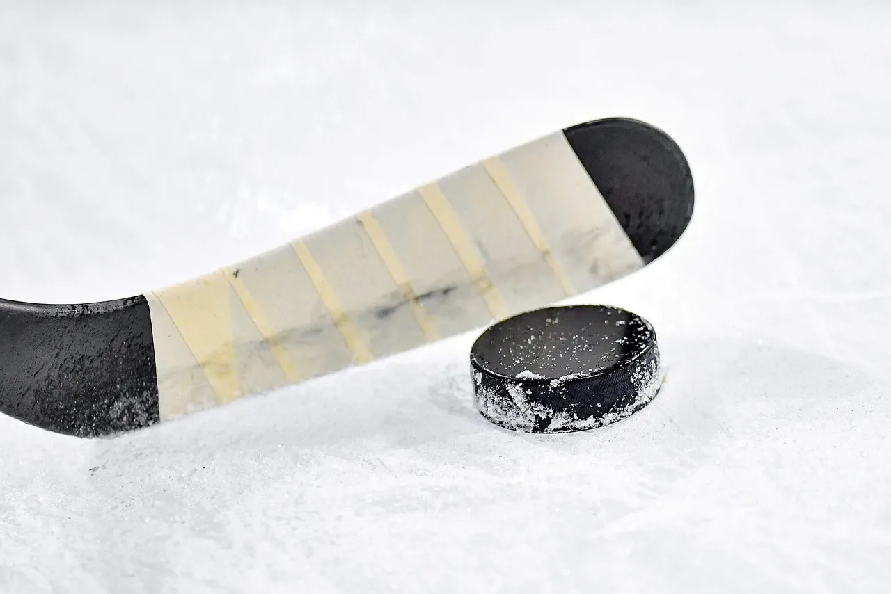 ¿Por qué Boston es la mejor ciudad para el hockey?