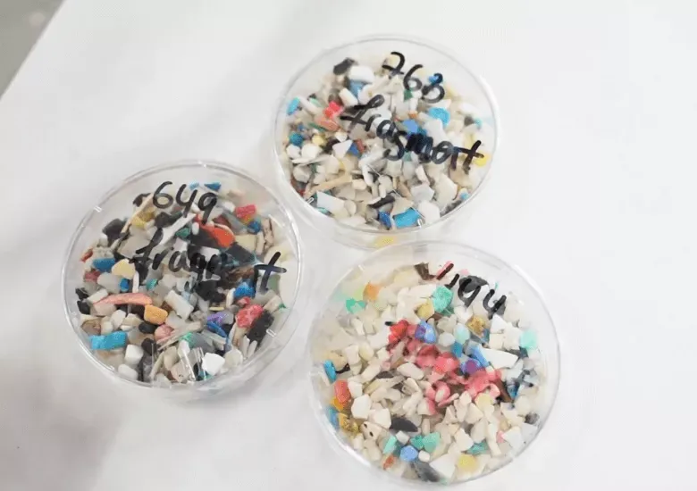 ¿Qué son los microplásticos y qué tan perjudiciales son para la salud?