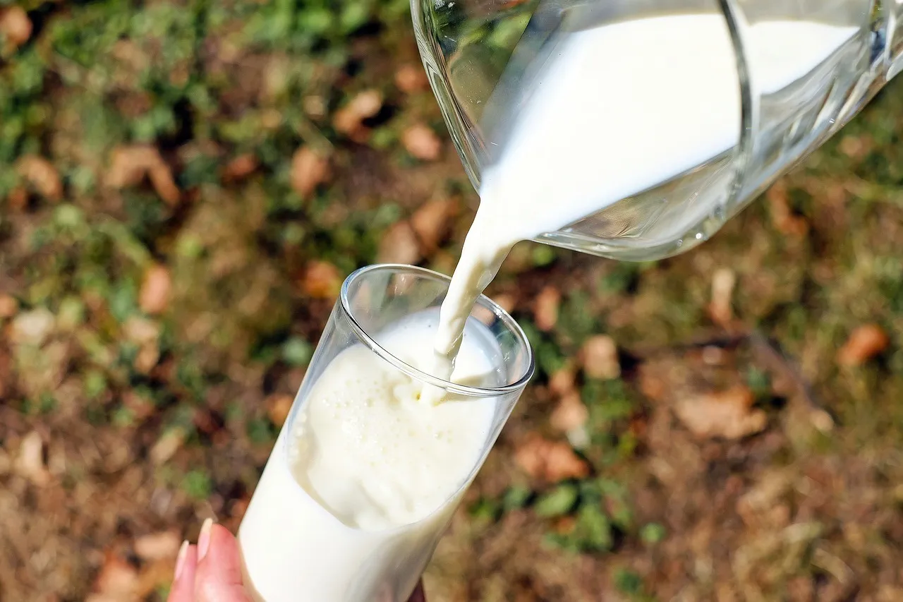El estado de Massachusetts afirma que las vacas no tienen gripe aviar