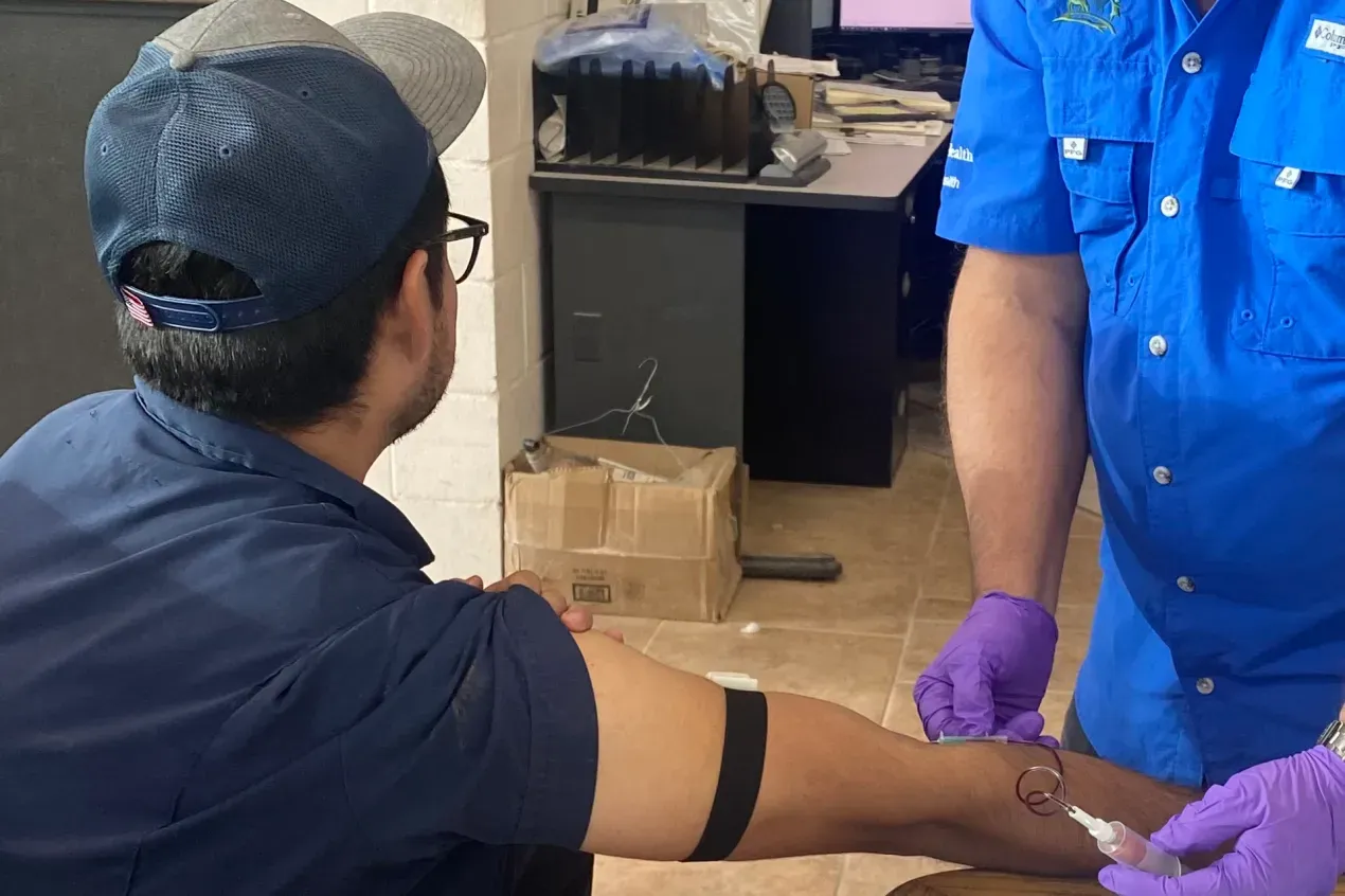 Estudio revela que los casos de gripe aviar siguen sin detectarse