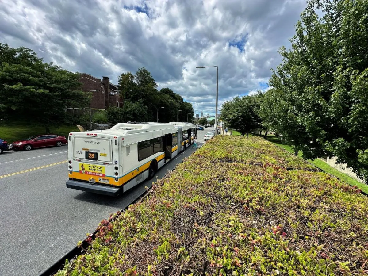 Nuevos techos verdes en paradas  autobús ayudan a combatir el calor y mejorar la calidad del aire en Boston