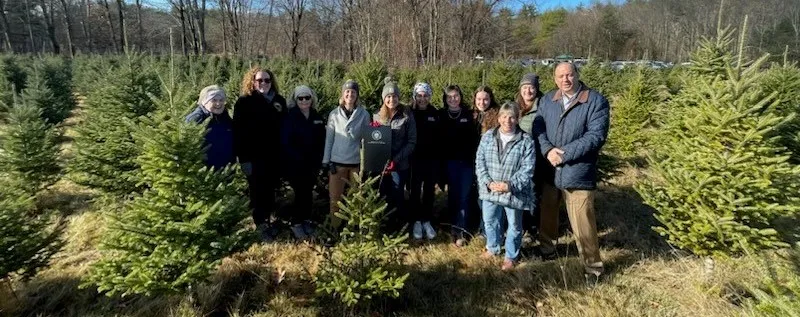 Massachusetts da inicio a la navidad y declara el día de hoy como “Green Friday”