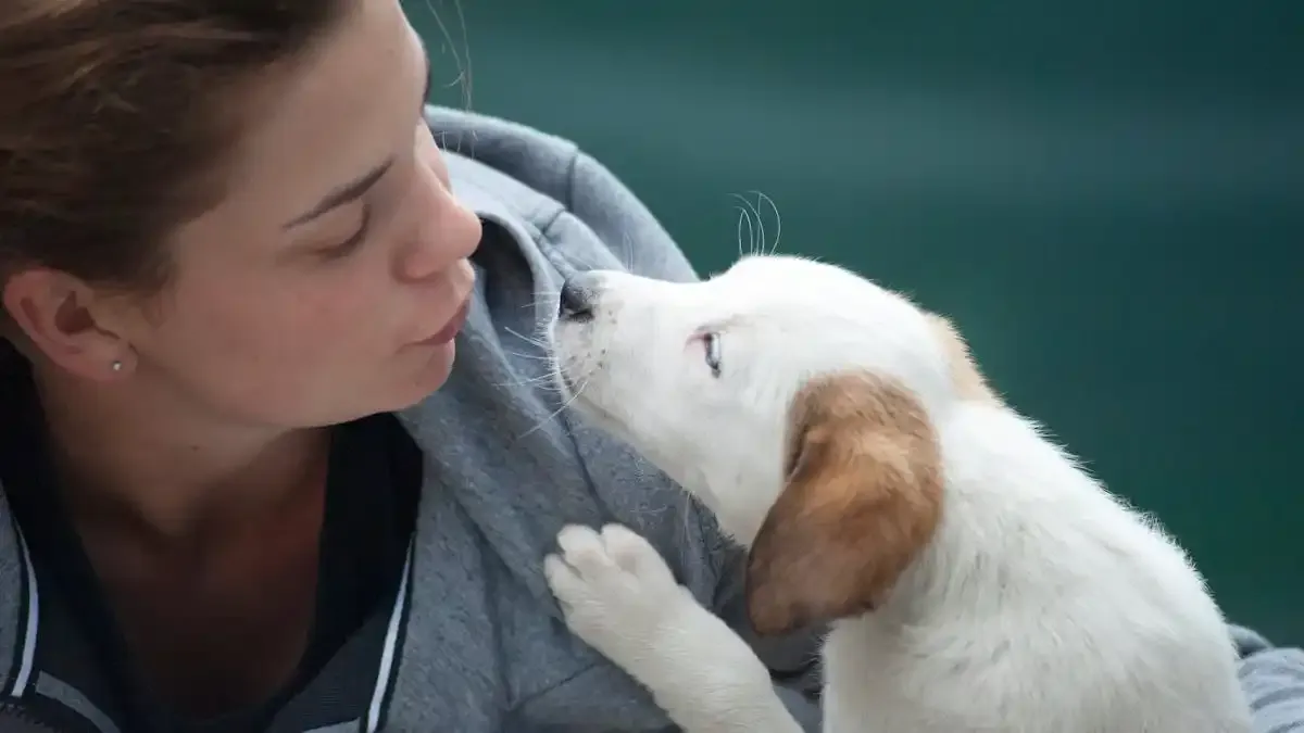 Mirar a tu perro a los ojos fortalece amor y reduce el estrés